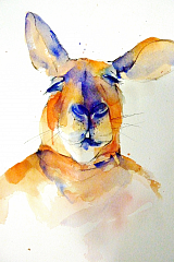 Shona Nicholls